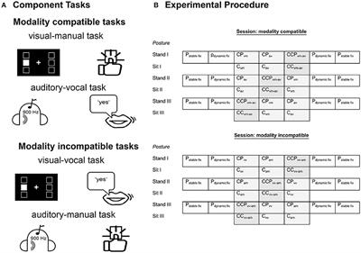 Age-Related Interference between the Selection of Input-Output Modality Mappings and Postural Control—a Pilot Study